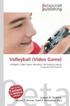 Volleyball (Video Game)