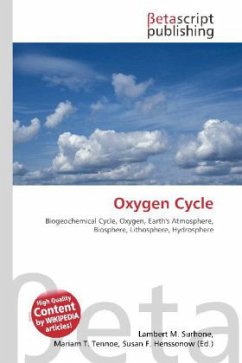 Oxygen Cycle