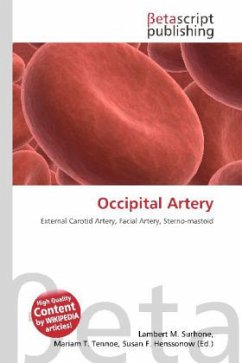 Occipital Artery