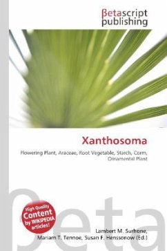 Xanthosoma