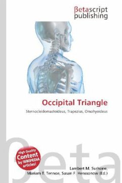 Occipital Triangle