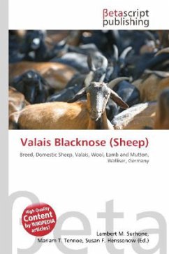 Valais Blacknose (Sheep)