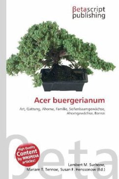 Acer buergerianum