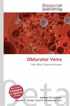 Obturator Veins