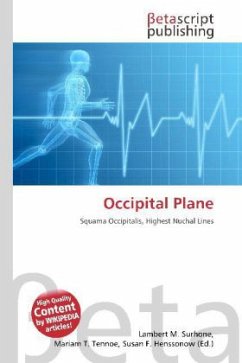 Occipital Plane