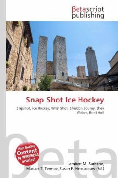 Snap Shot Ice Hockey