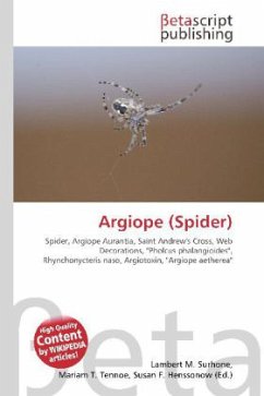 Argiope (Spider)