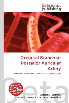 Occipital Branch of Posterior Auricular Artery