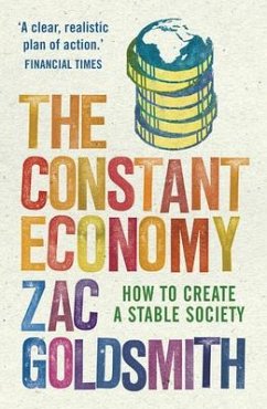 The Constant Economy: How to Create a Stable Society - Goldsmith, Zac