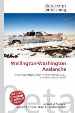 Wellington-Washington Avalanche
