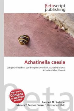 Achatinella caesia