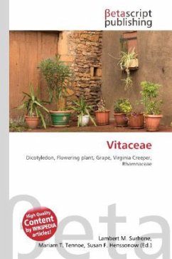 Vitaceae