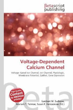 Voltage-Dependent Calcium Channel