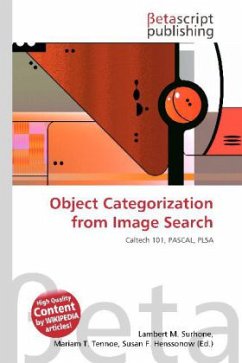 Object Categorization from Image Search