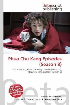 Phua Chu Kang Episodes (Season 8)