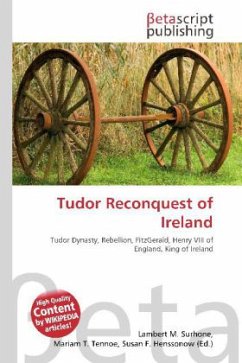 Tudor Reconquest of Ireland