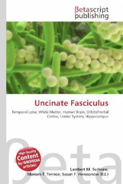 Cover Uncinate Fasciculus