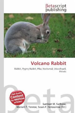 Volcano Rabbit