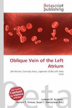 Oblique Vein of the Left Atrium