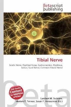 Tibial Nerve