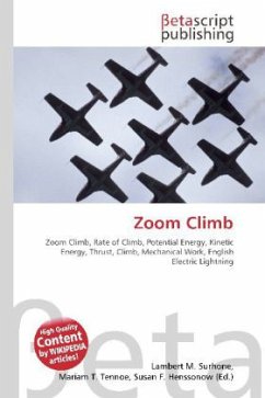 Zoom Climb