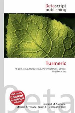 Cover Turmeric