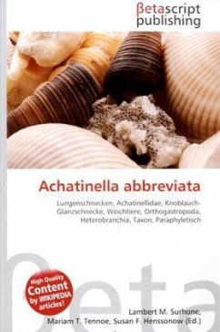 Achatinella abbreviata