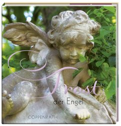 Cover Trost der Engel