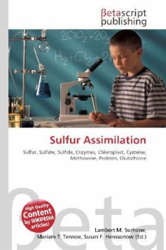 Sulfur Assimilation