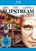 Slipstream Dream