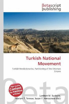 Turkish National Movement