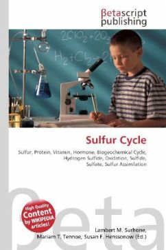 Sulfur Cycle