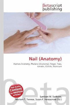 Nail (Anatomy)