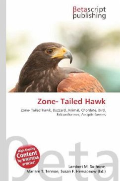 Zone- Tailed Hawk