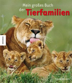 Mein großes Buch der Tierfamilien - Bloom, Steve; Wilson, David H.