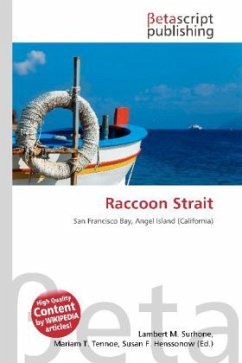 Raccoon Strait