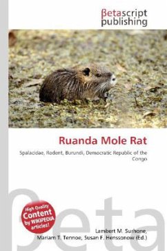 Ruanda Mole Rat