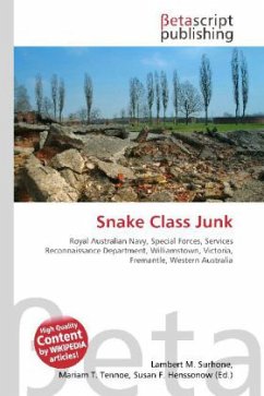 Snake Class Junk