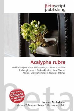 Acalypha rubra