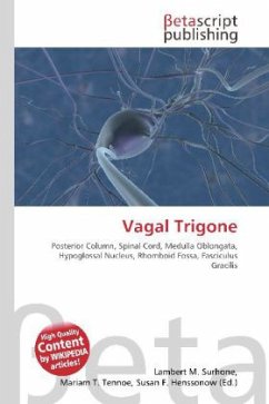 Vagal Trigone