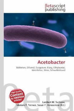 Acetobacter