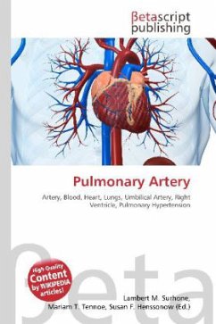 Pulmonary Artery