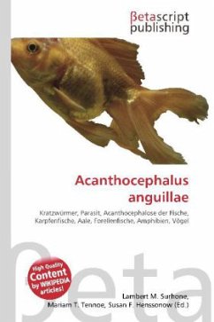 Acanthocephalus anguillae