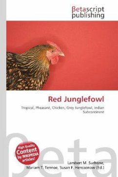 Red Junglefowl