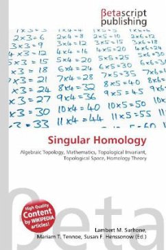 Singular Homology