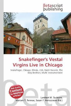 Snakefinger's Vestal Virgins Live in Chicago