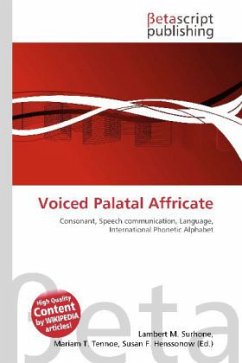 Voiced Palatal Affricate