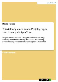 Entwicklung einer neuen Projektgruppe zum leistungsfähigen Team - Hauck, David