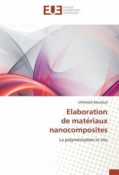 Elaboration de matériaux nanocomposites - BRUZAUD, STEPHANE