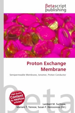 Proton Exchange Membrane